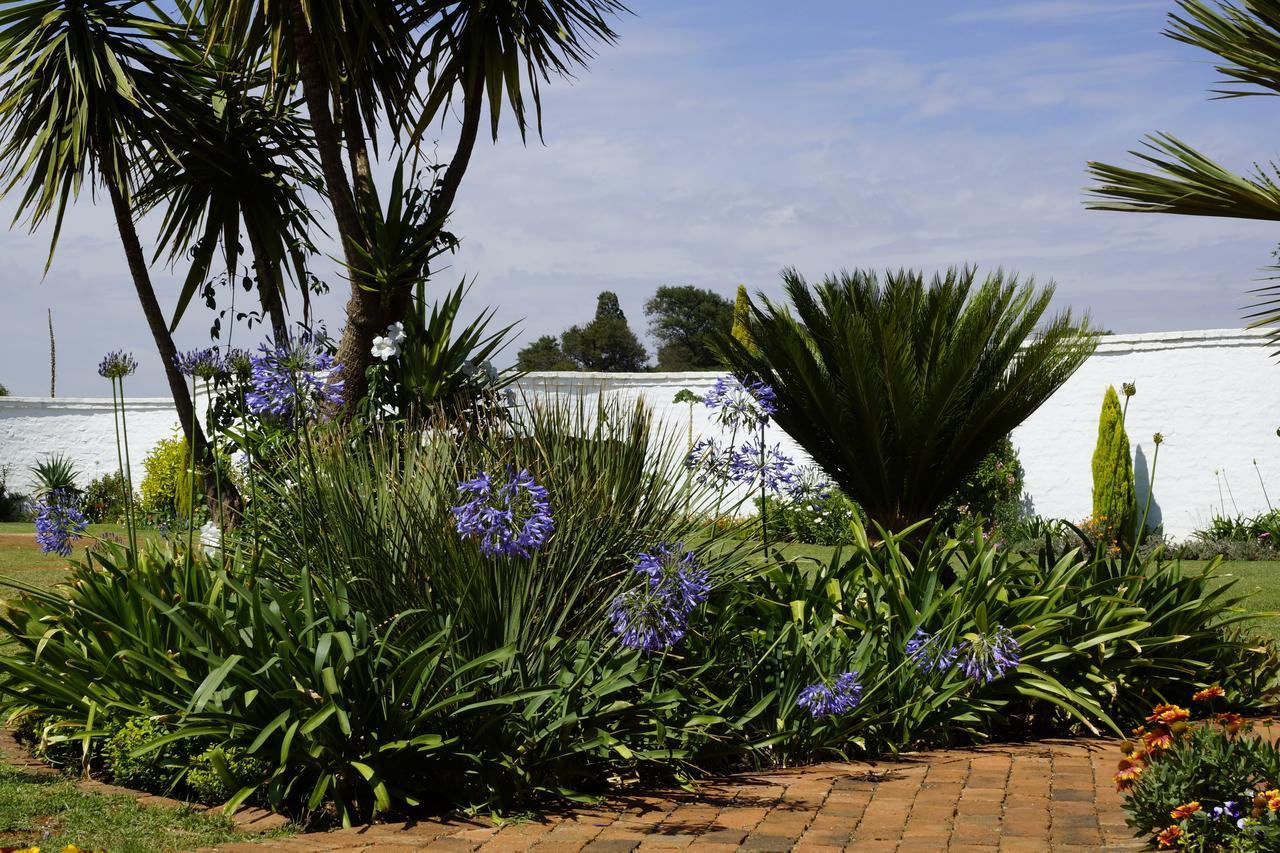 Blue Mango Lodge Kempton Park Exterior photo